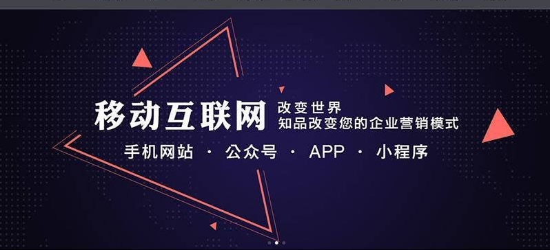 苍南手机网站